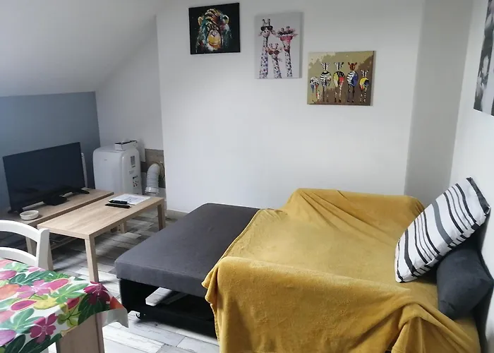 Climatisé Avec Parking Privé Gratuit Appartamento Doué-la-Fontaine